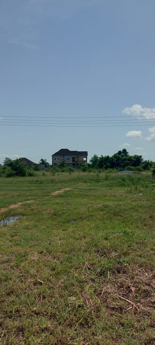 New Ningo – land for sale